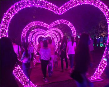 陜西燈光節(jié)-節(jié)日亮化