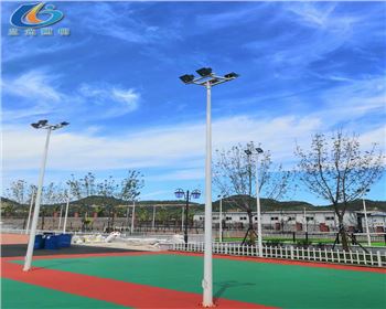 寧夏延安學(xué)校路燈照明項(xiàng)目